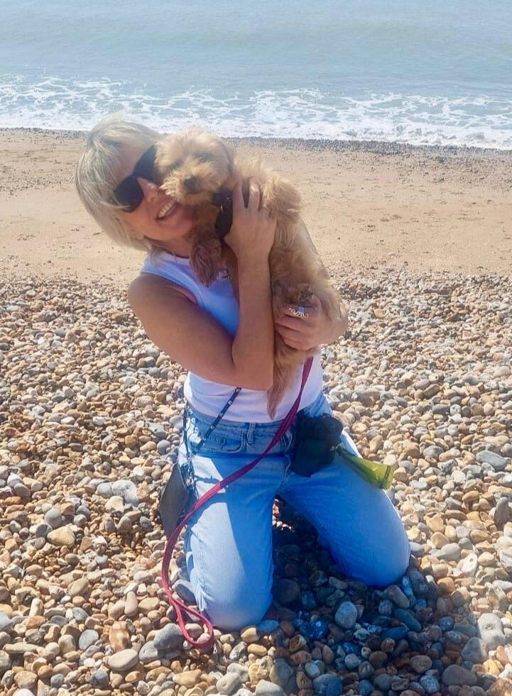 Norfolk Terrier on Beach